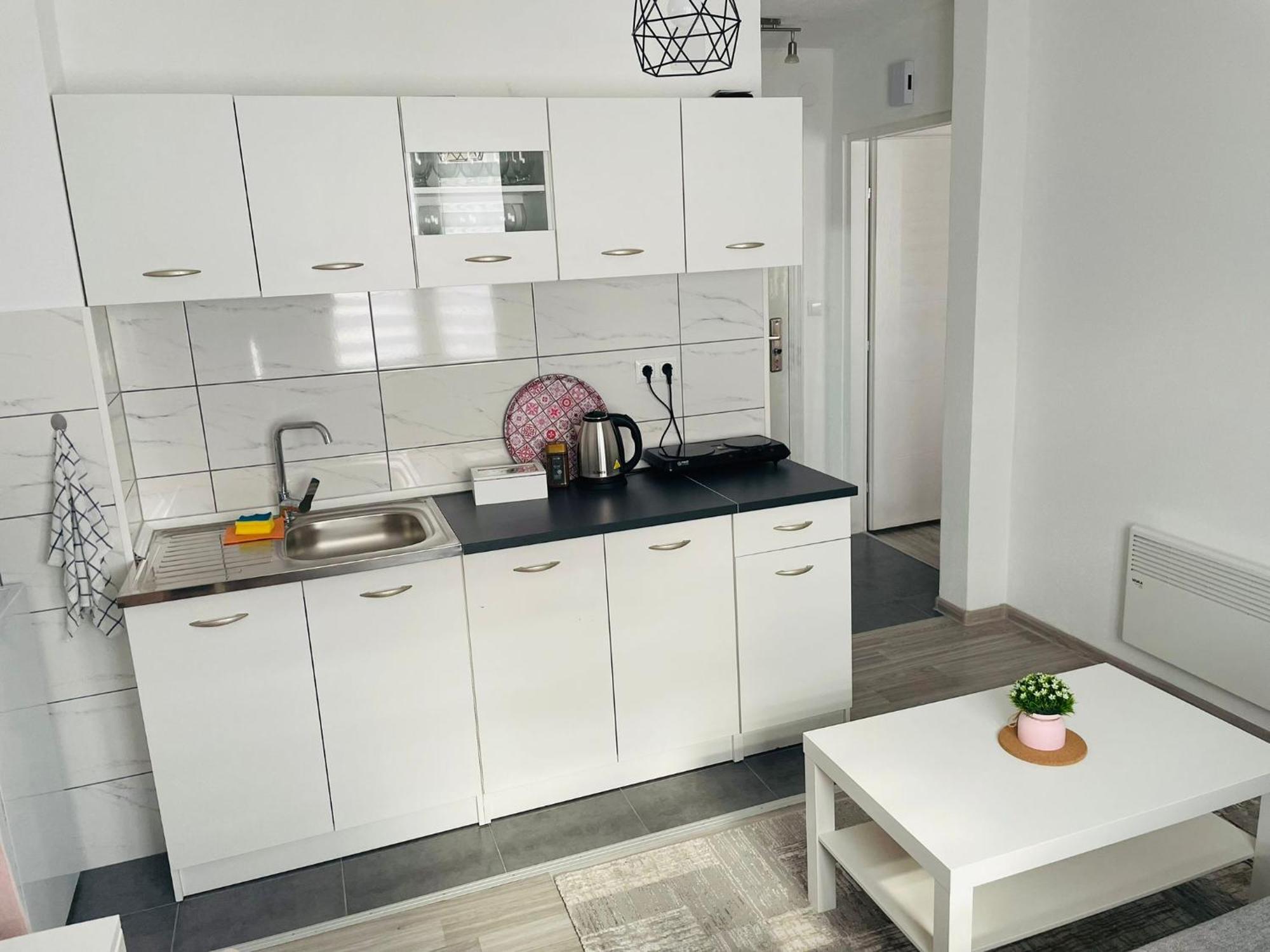 Apartment Zara Bihać Esterno foto